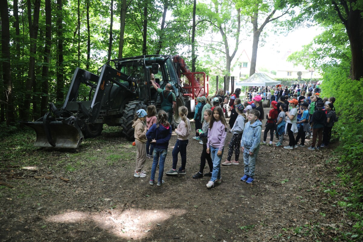 6. DEN LESA