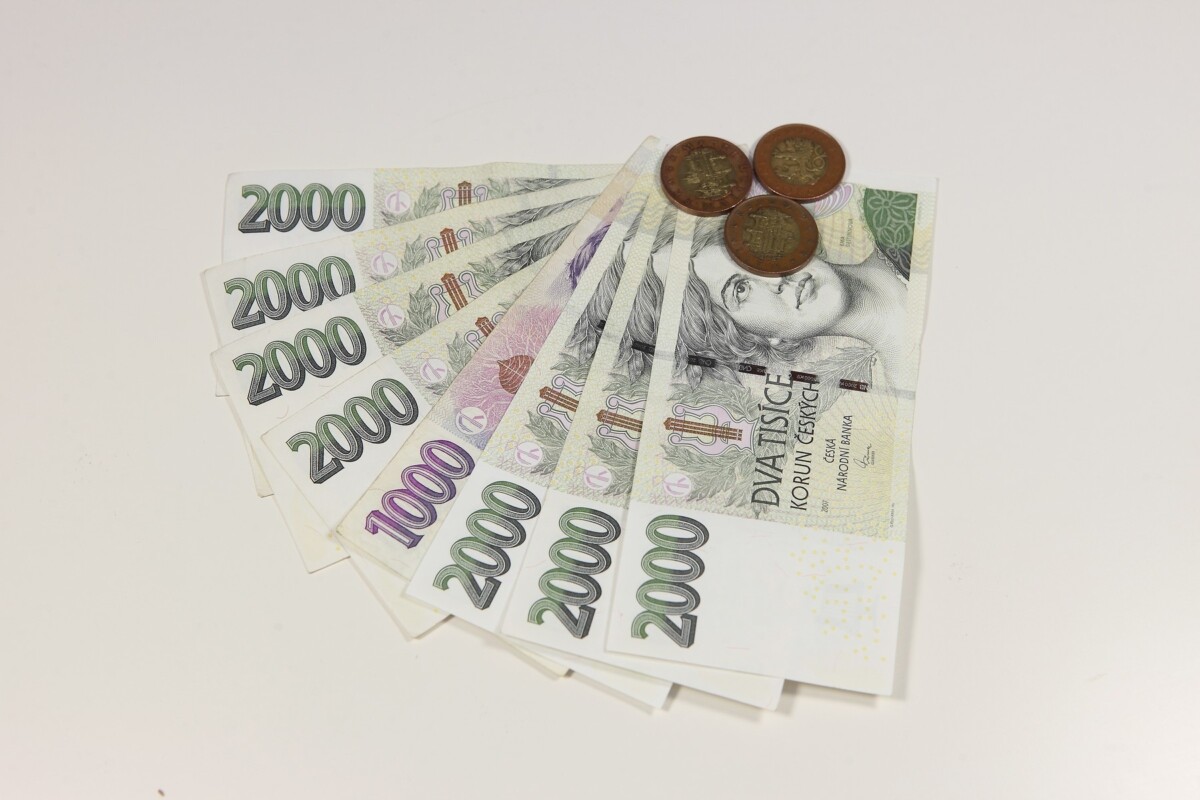 VYPLACENÍ PŘÍSPĚVKŮ ZA ROK 2023/2024
