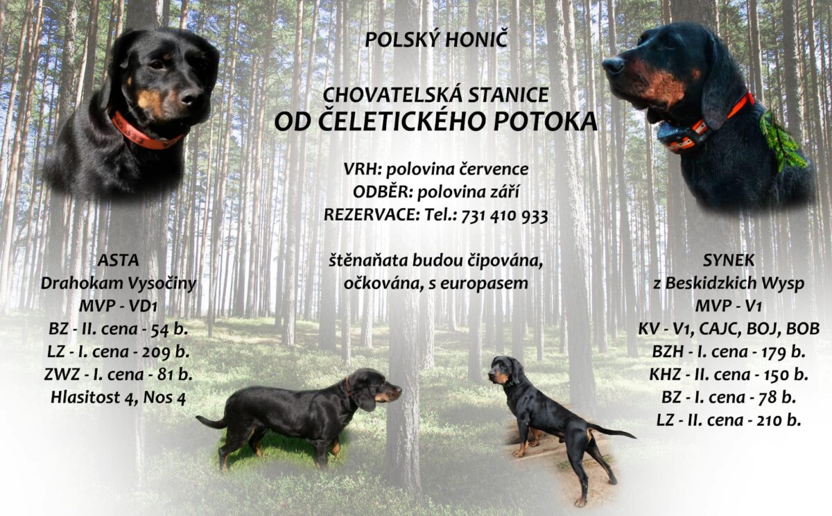 Polský honič