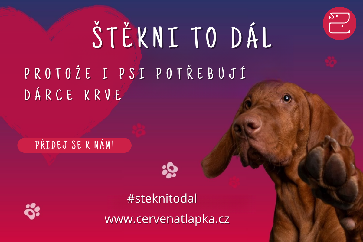 Kampaň Štěkni to dál