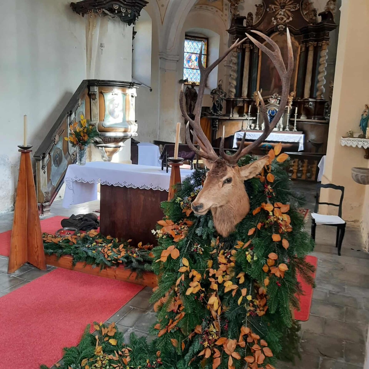 Reportáž televize FILMpro ze Svatohubertské mše v Dešenicích