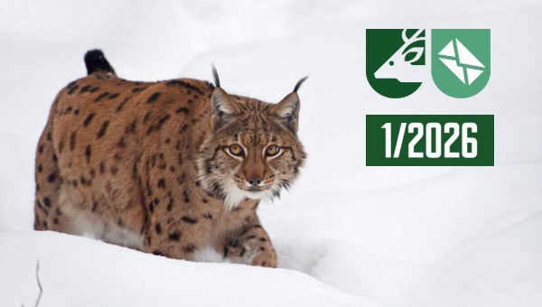 Zpravodaj ČMMJ – 1/2026