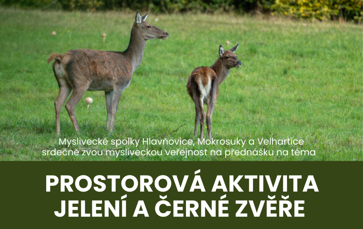 Pozvánka na odborný seminář