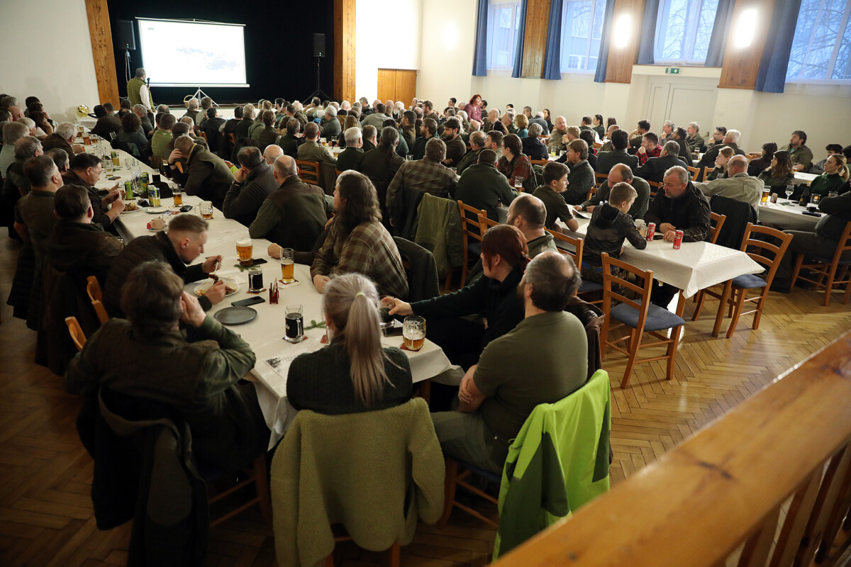 Seminář – Prostorová aktivita jelení a černé zvěře