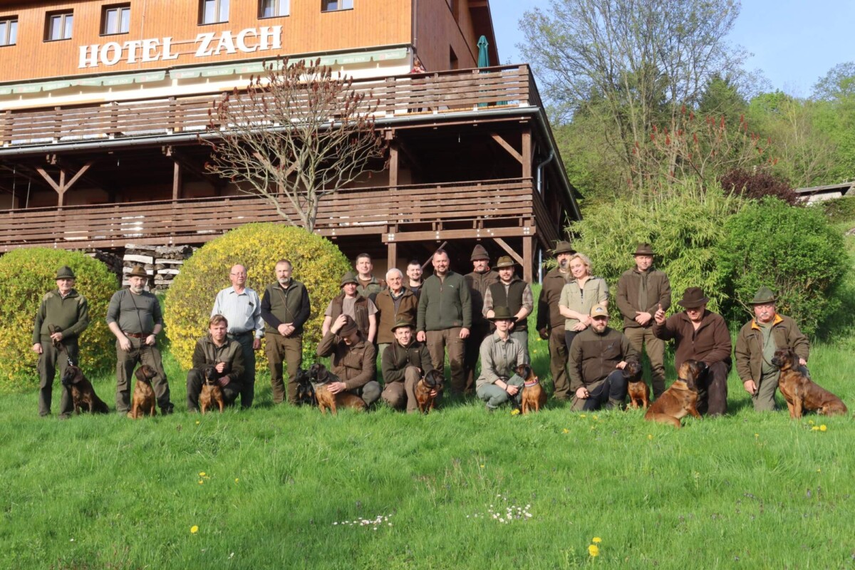 ČMKCHB: Zpráva o činnosti oblasti č. 11 – Šumava západ za rok 2025