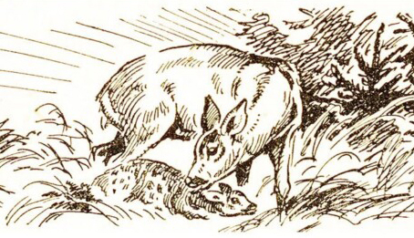 Odborná konference Principy trvale udržitelného mysliveckého hospodaření