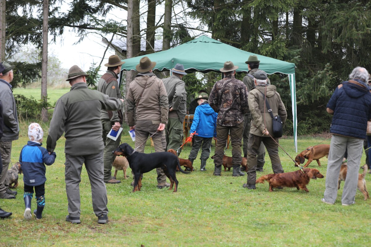 Jarní svod loveckých psů