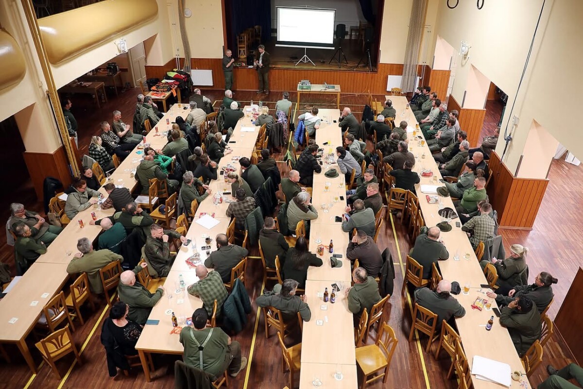 Dosledy v praxi ve Strážově