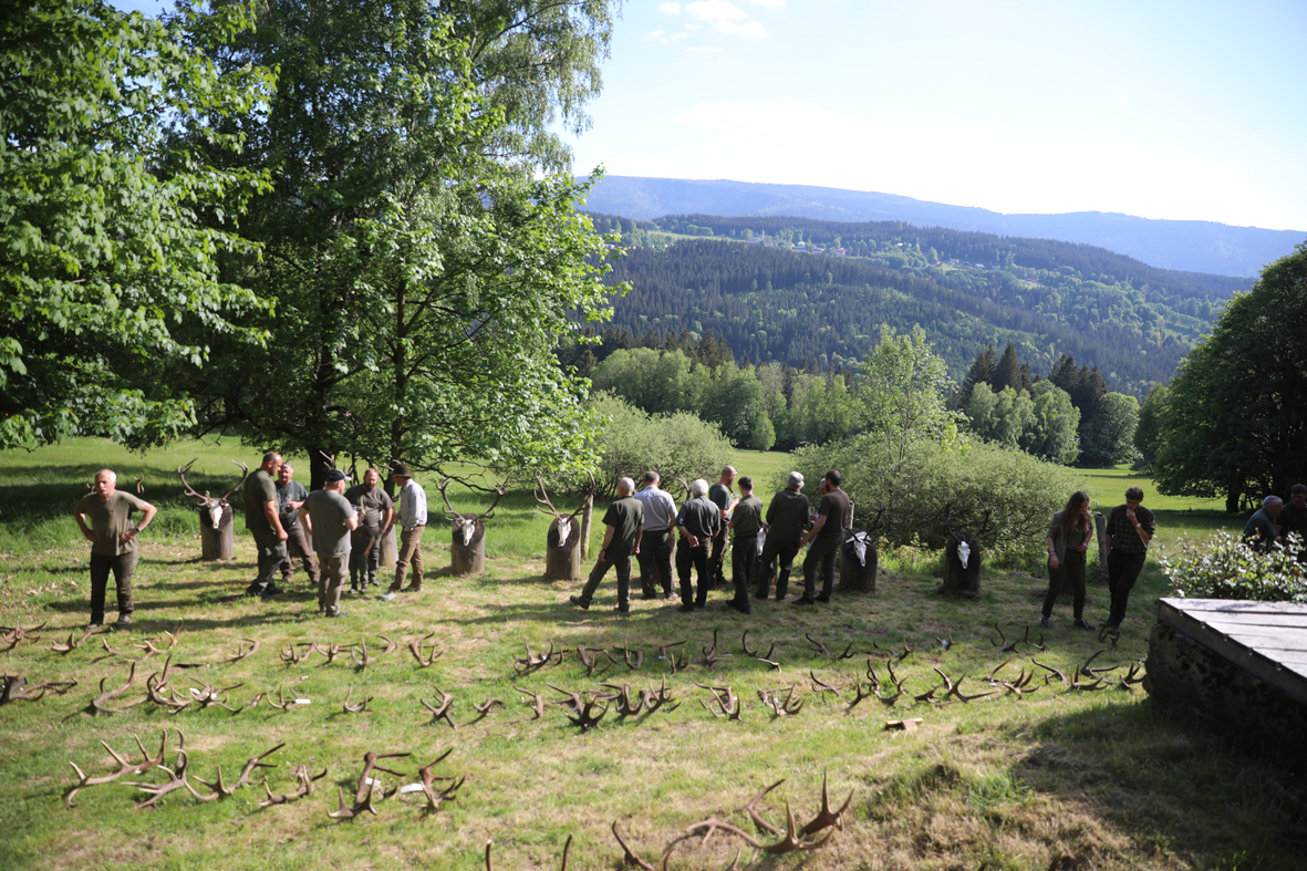 Přehlídka shozů z jelení oblasti Šumava sever