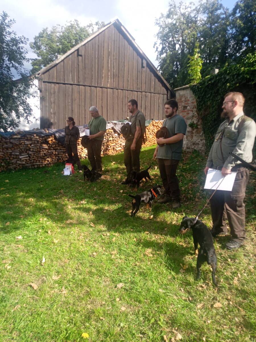 Klubové zkoušky vloh jagdteriérů v Javoru